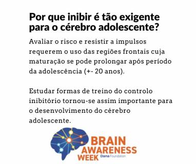 adolecente-brain