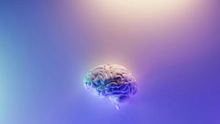 CEREBRO