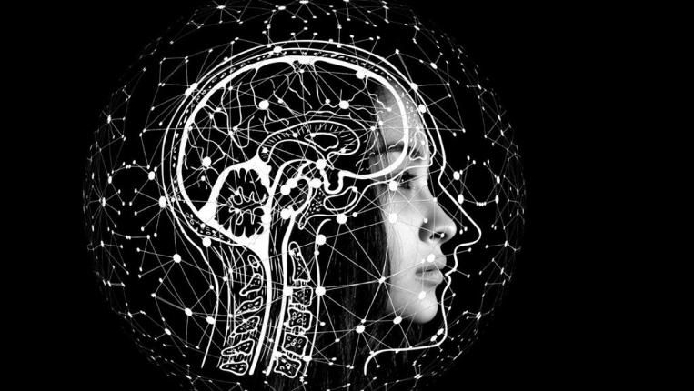 neurociencias
